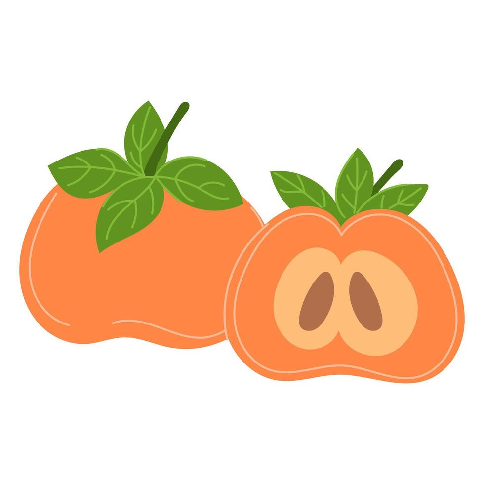 Ripe Persimmon with Green Leaves, Fresh and Juicy Autumn Fruit vector