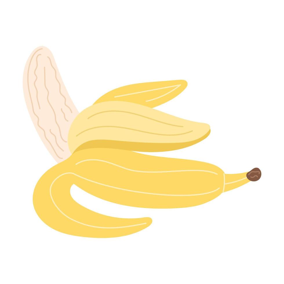 Ripe Yellow Banana with Half-Peeled Skin Showing the Fresh Fruit vector