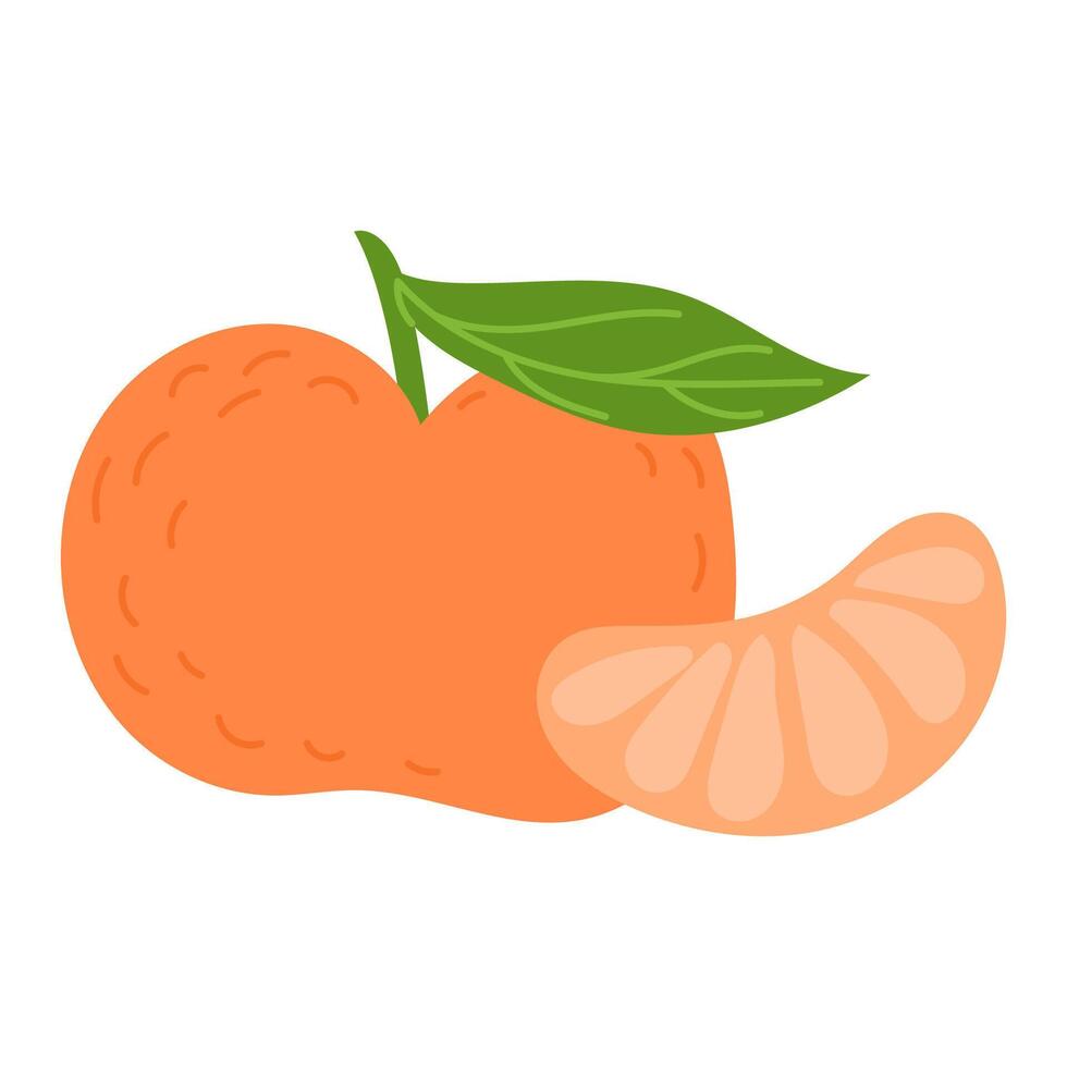 Whole Tangerine with a Slice Showing Juicy Orange Flesh vector