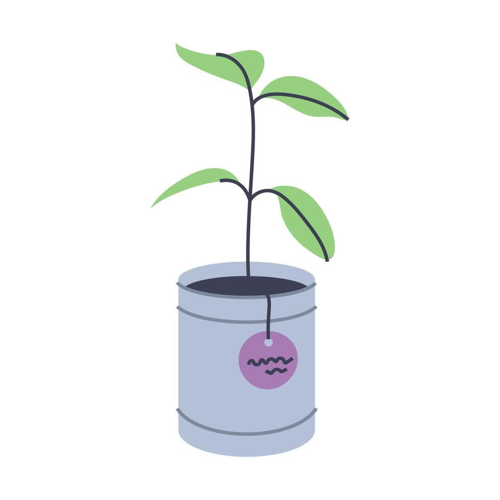 Seedling in a pot. Garden plant. Flat graphic element for spring and summer designs. vector