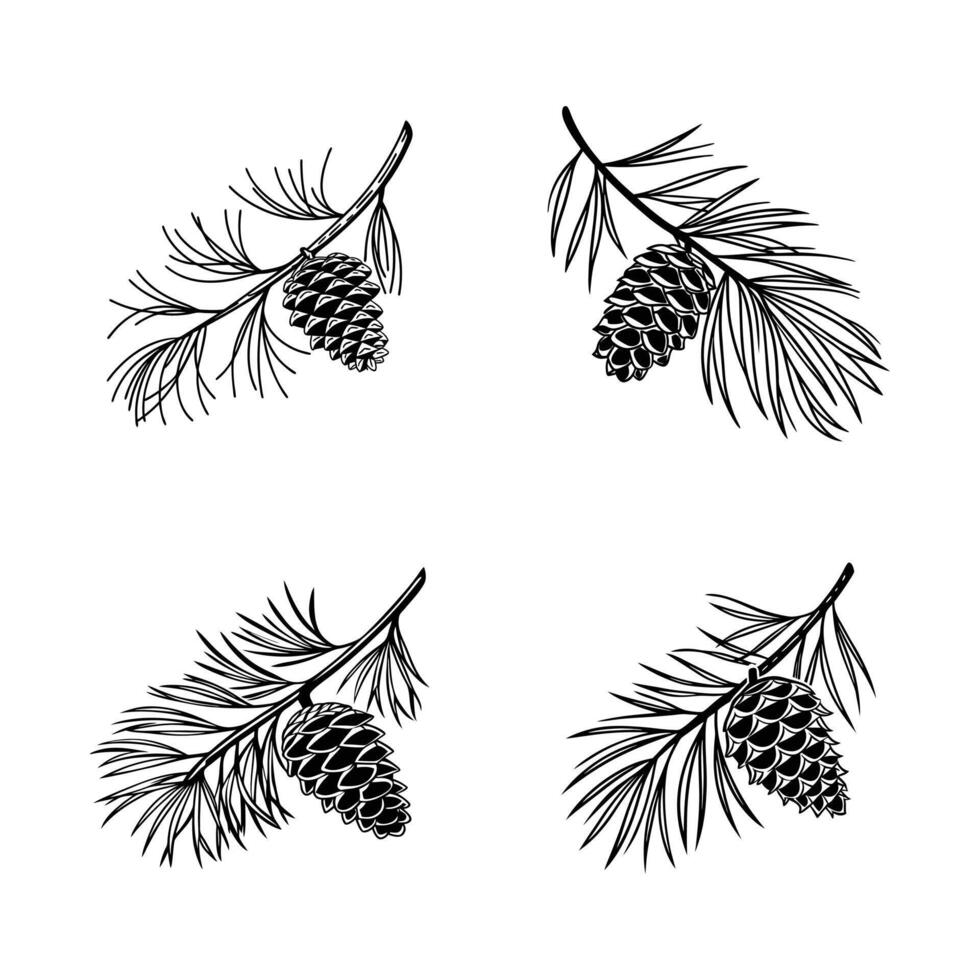 High-Quality Pine Cone Silhouettes Design vector