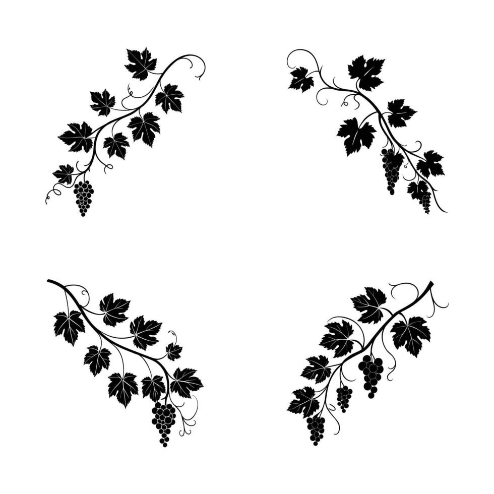 High-Quality Grapevine Silhouettes Design vector