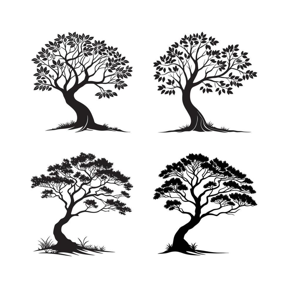 Clean Banyan Tree Silhouettes Black on White vector