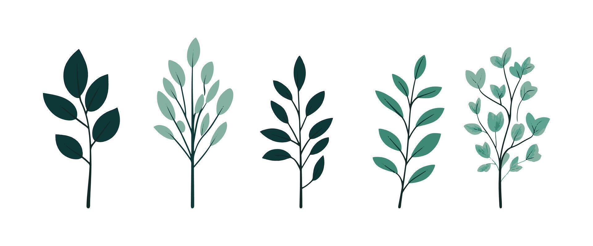 Set of tree and leaf collection hand drawn flat design element for textile pattern or nature business vector