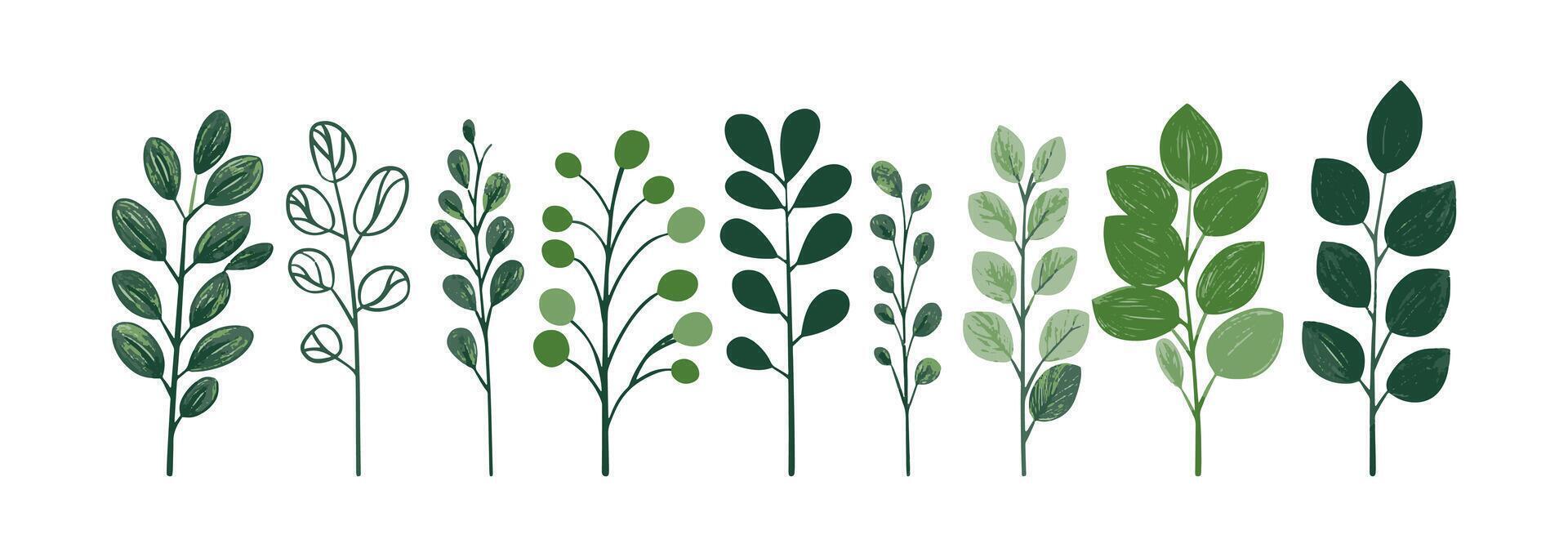 Set of tree and leaf collection hand drawn flat design element for textile pattern or nature business. illustration vector