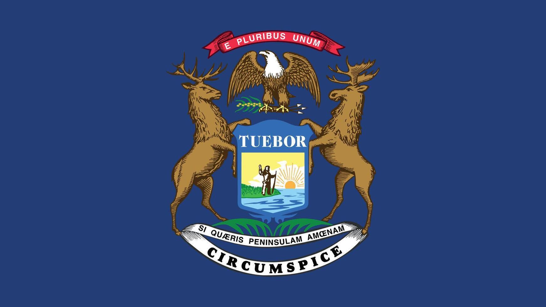 Michigan US State Flag Illustration vector