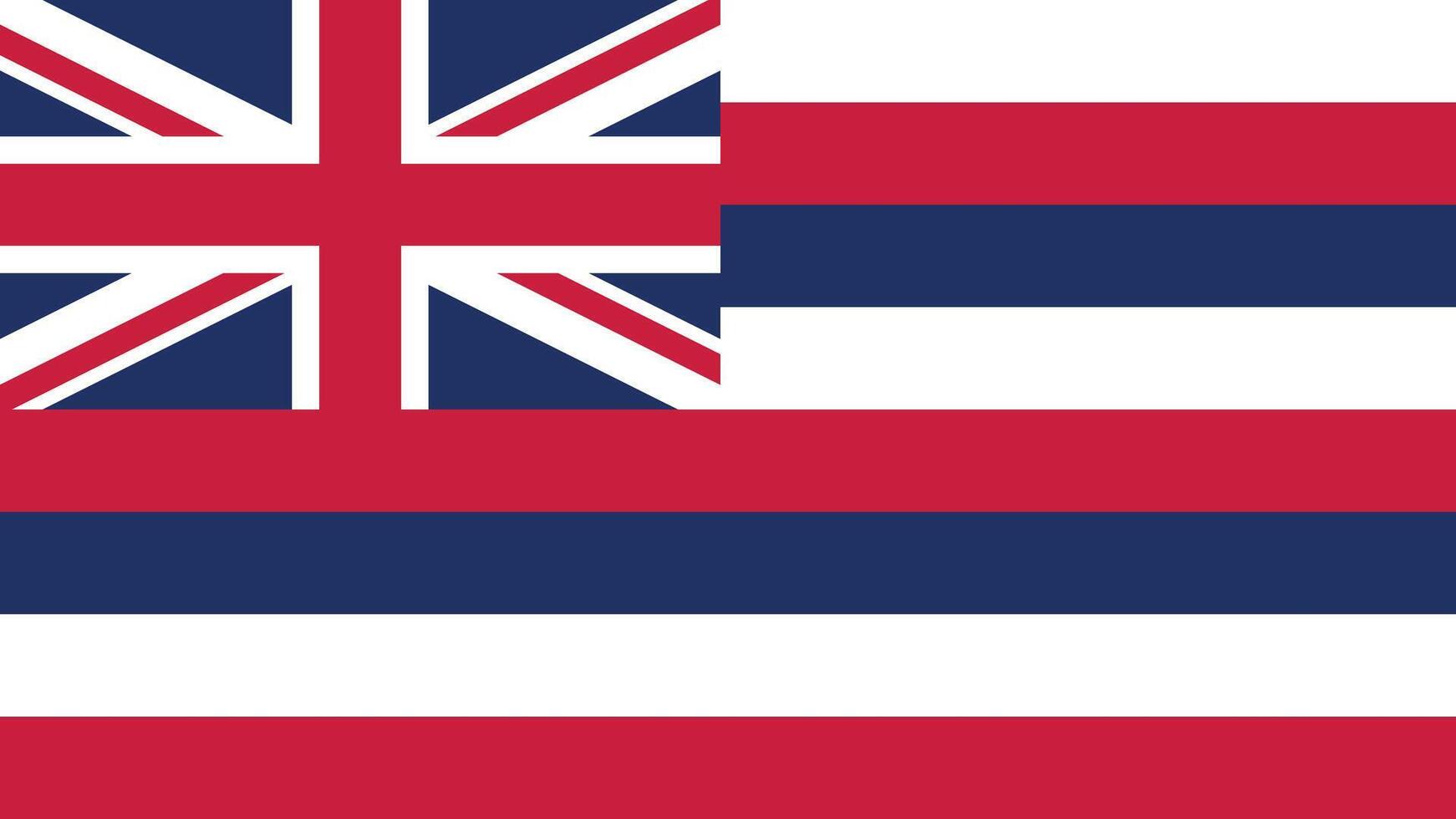 Hawaii US State Flag Illustration vector
