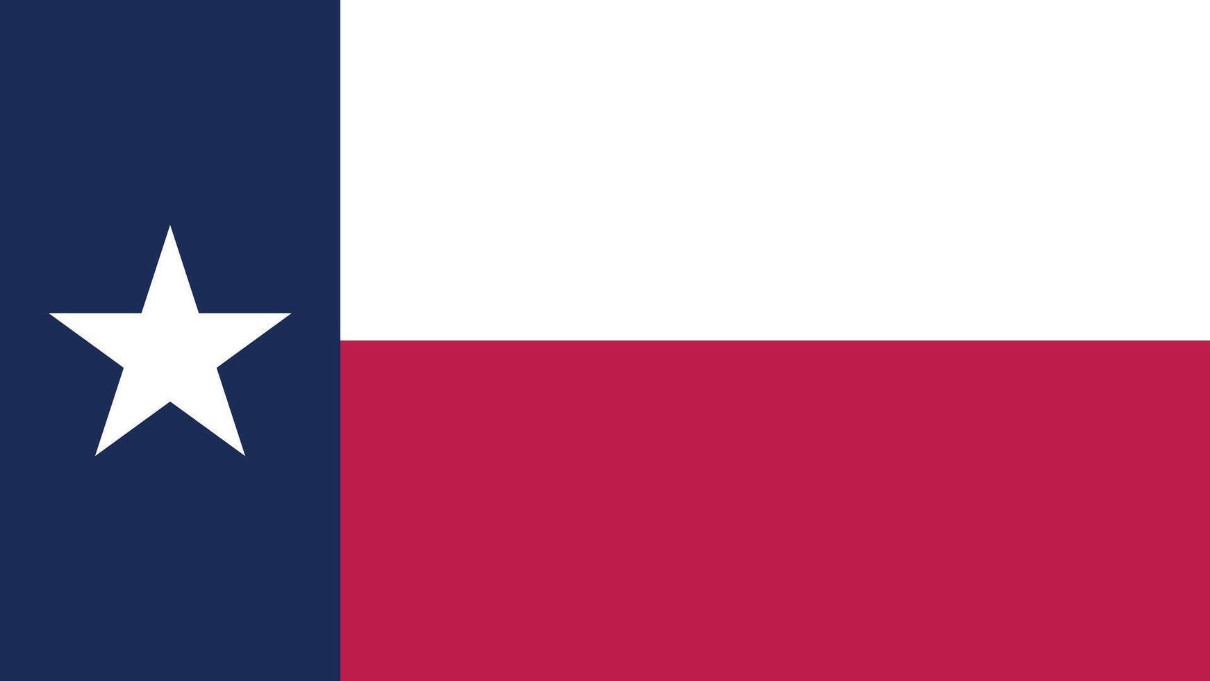 Texas US State Flag Illustration vector