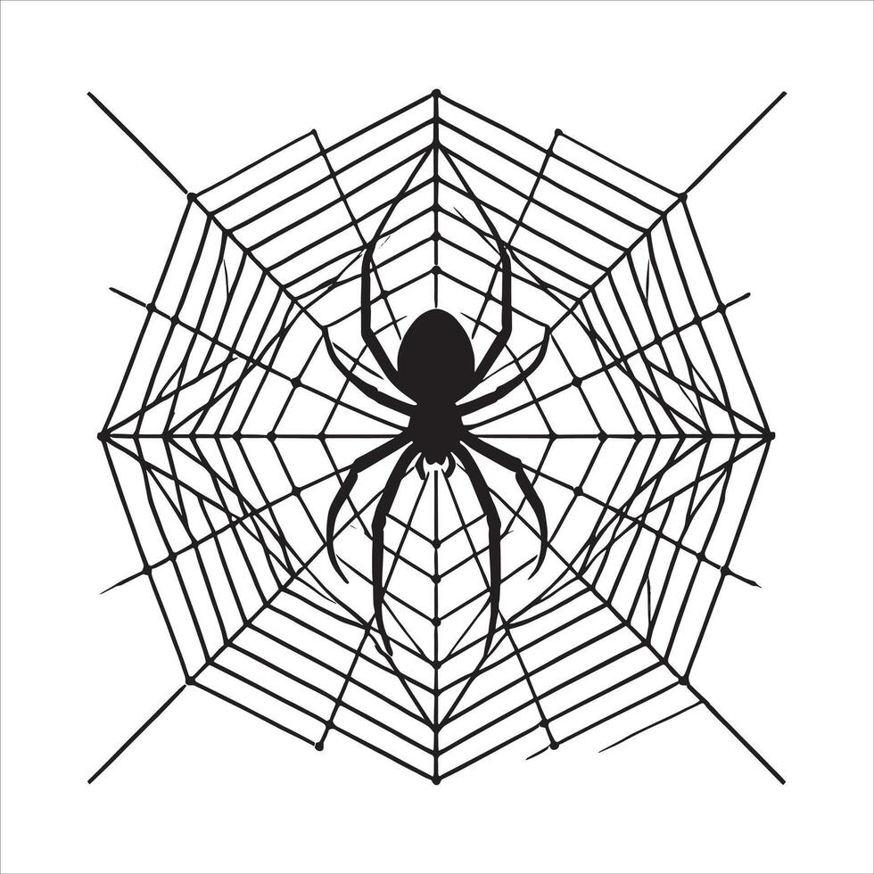 A spider web on a white background vector