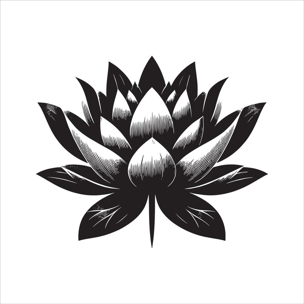 A black and white lotus flower on a white background vector