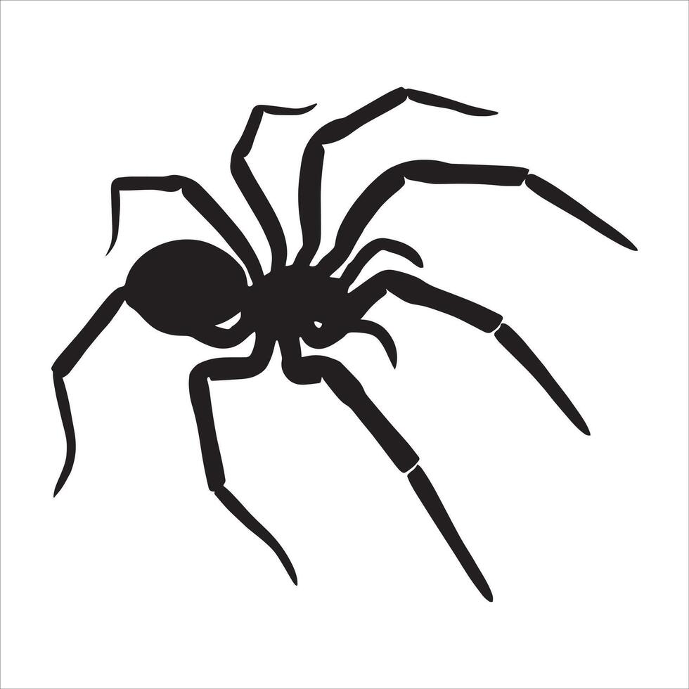 A black spider on a white background vector