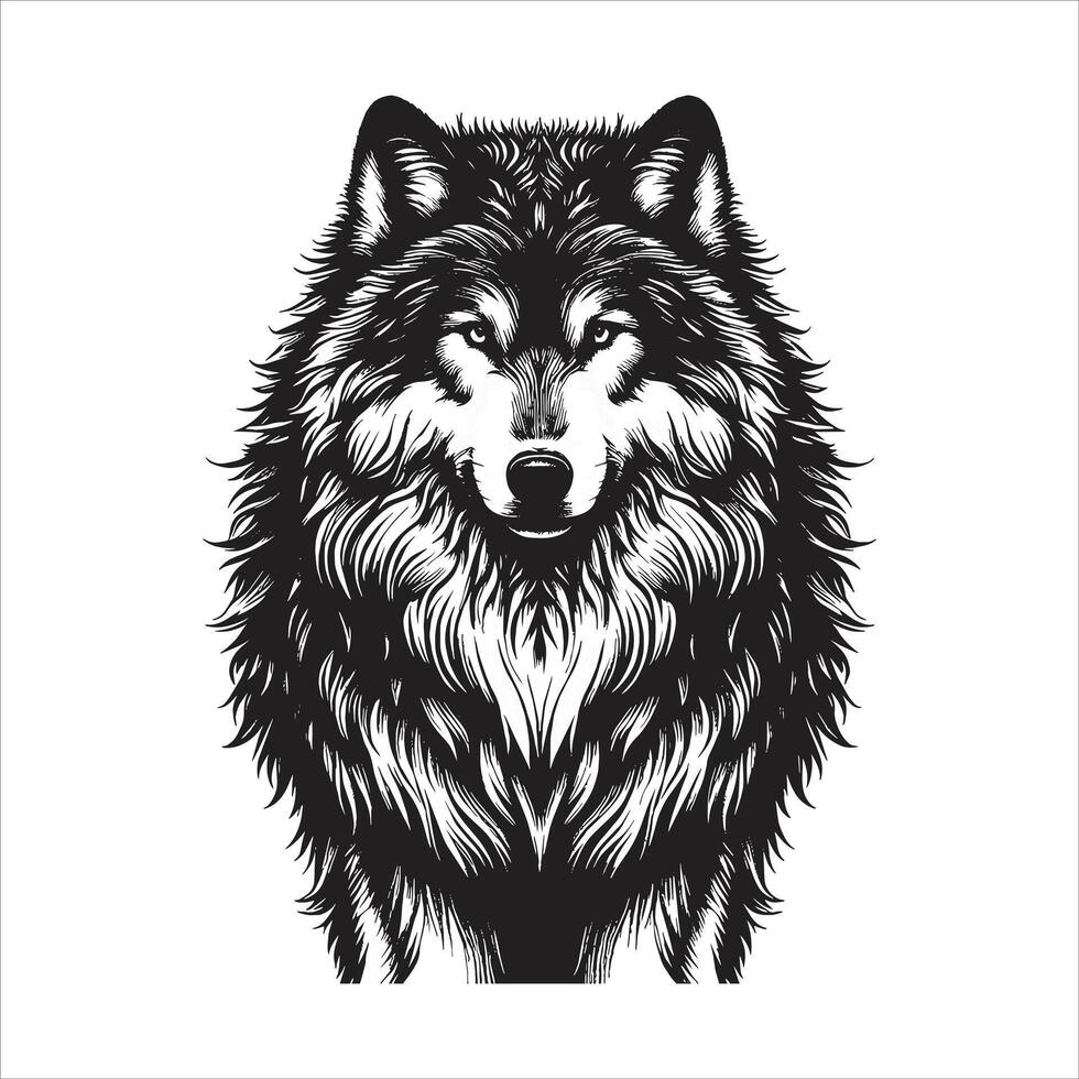 The wolf is black and white on a white background vector