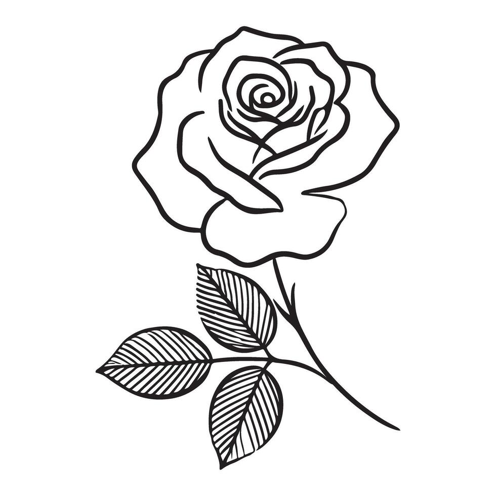 Line Art of a Classic Rose with Leaves vector