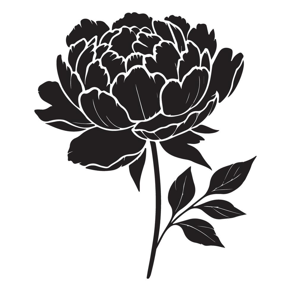 Black Silhouette Peony Flower Design vector