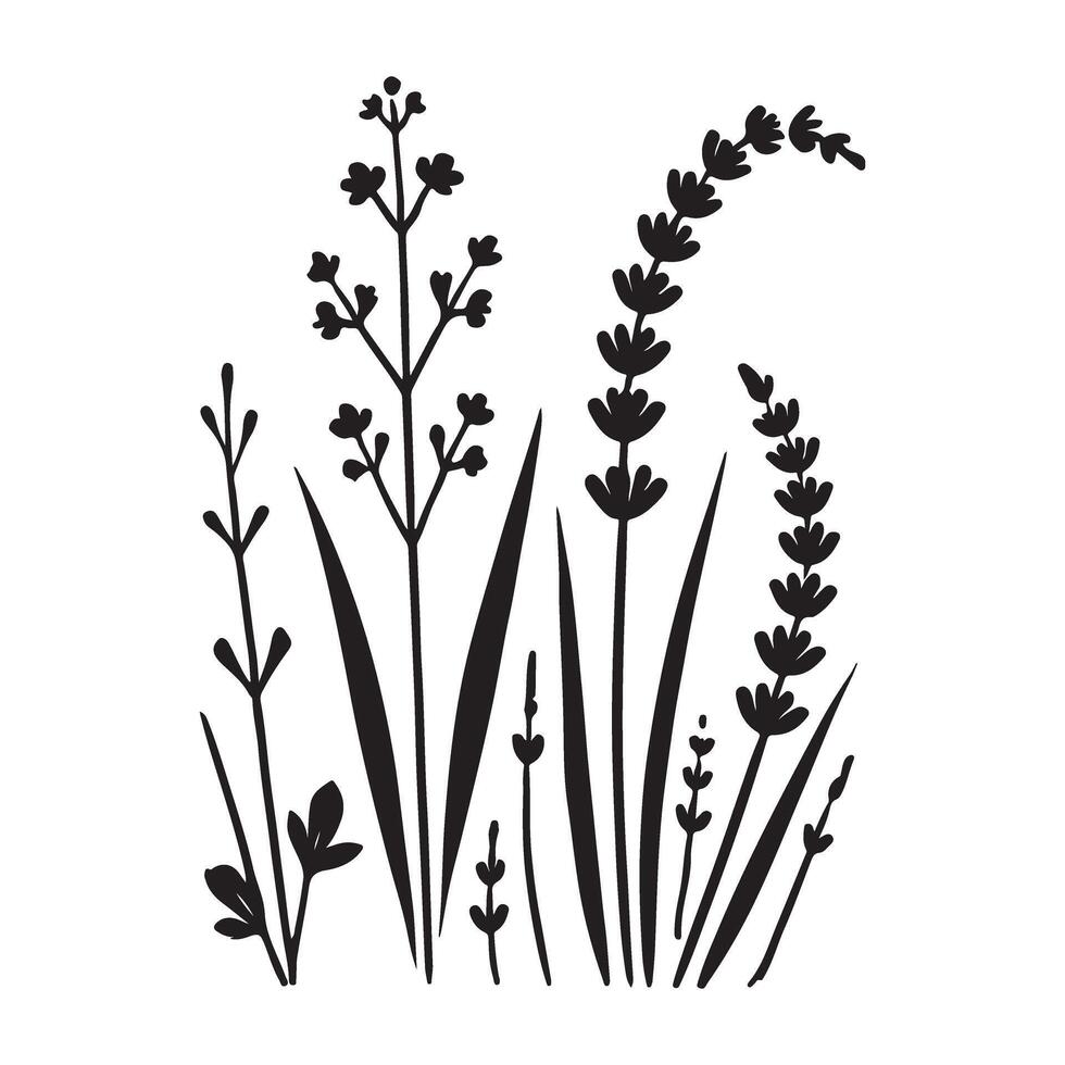 Elegant Silhouette of Wildflowers and Grasses Illustration vector