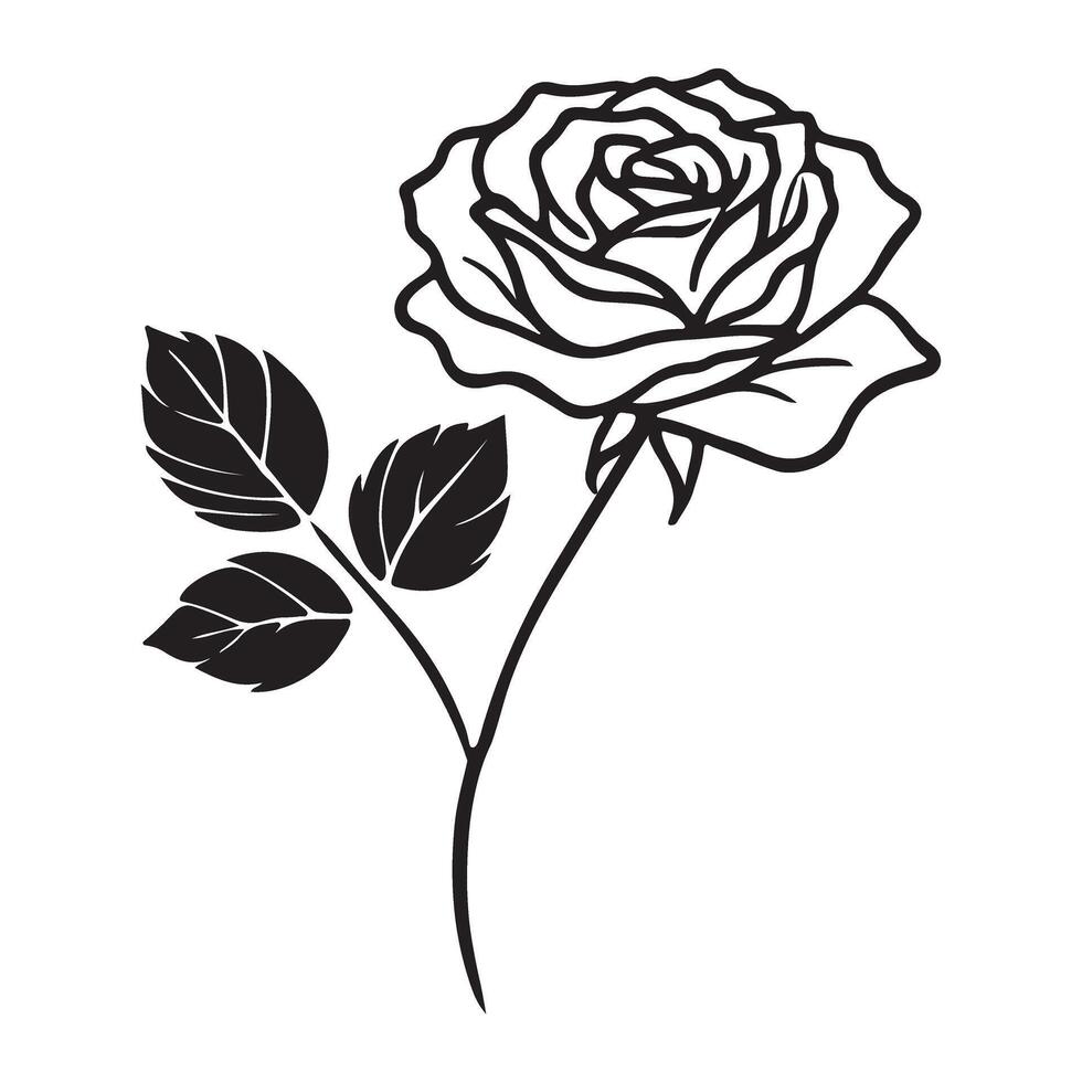 Single Rose Line Art Botanical Illustration vector