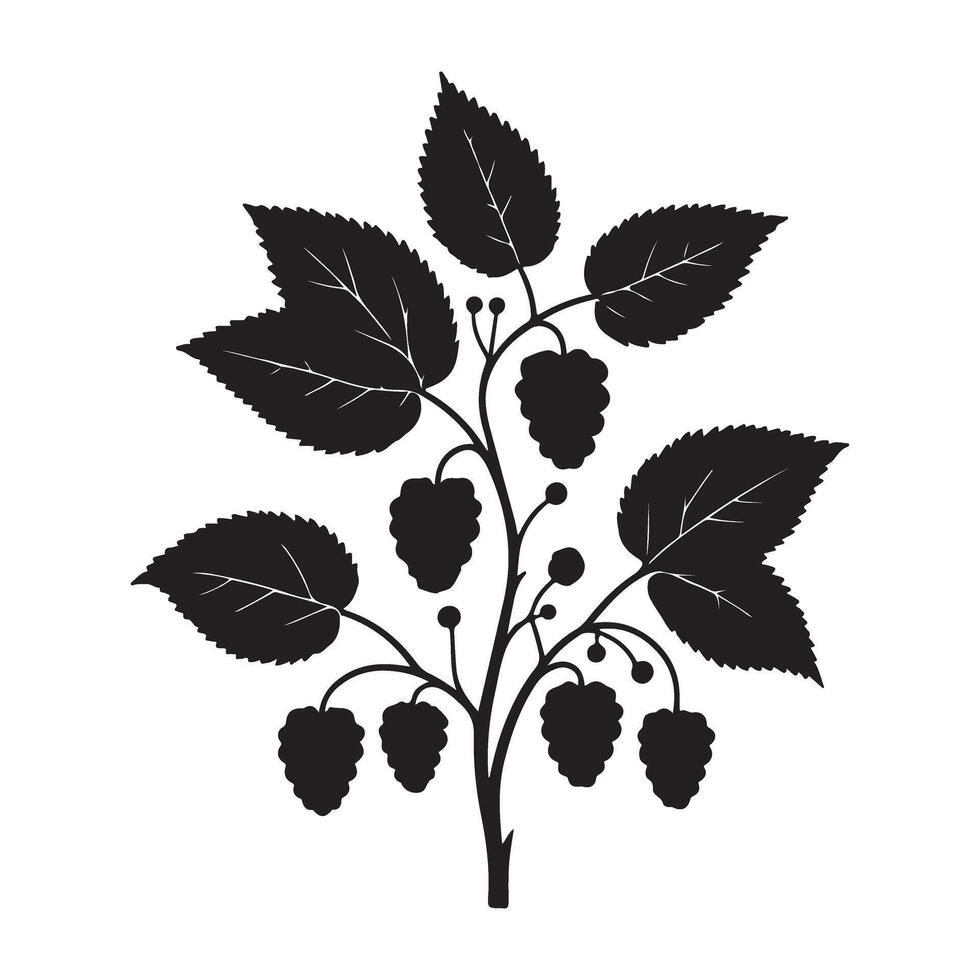 Silhouette of Blackberry Branch with Berries and Leaves vector