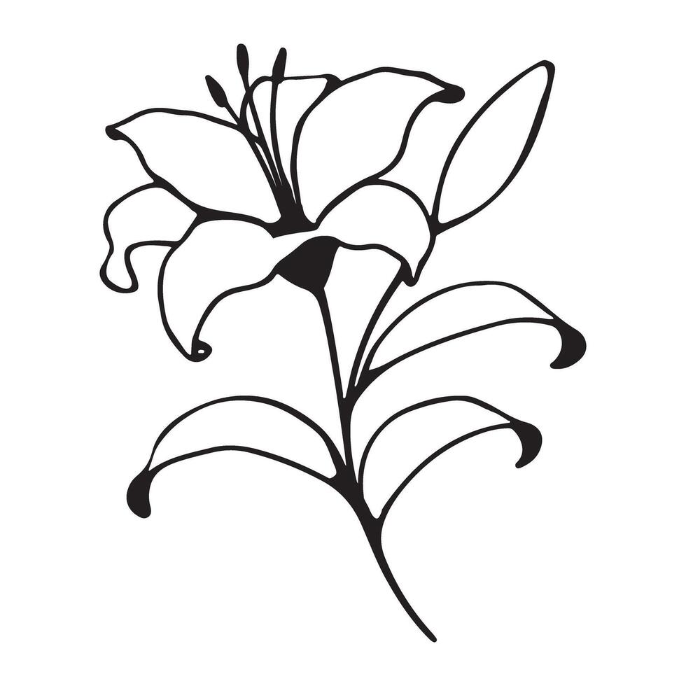 Elegant Lily Flower Silhouette Illustration Art vector
