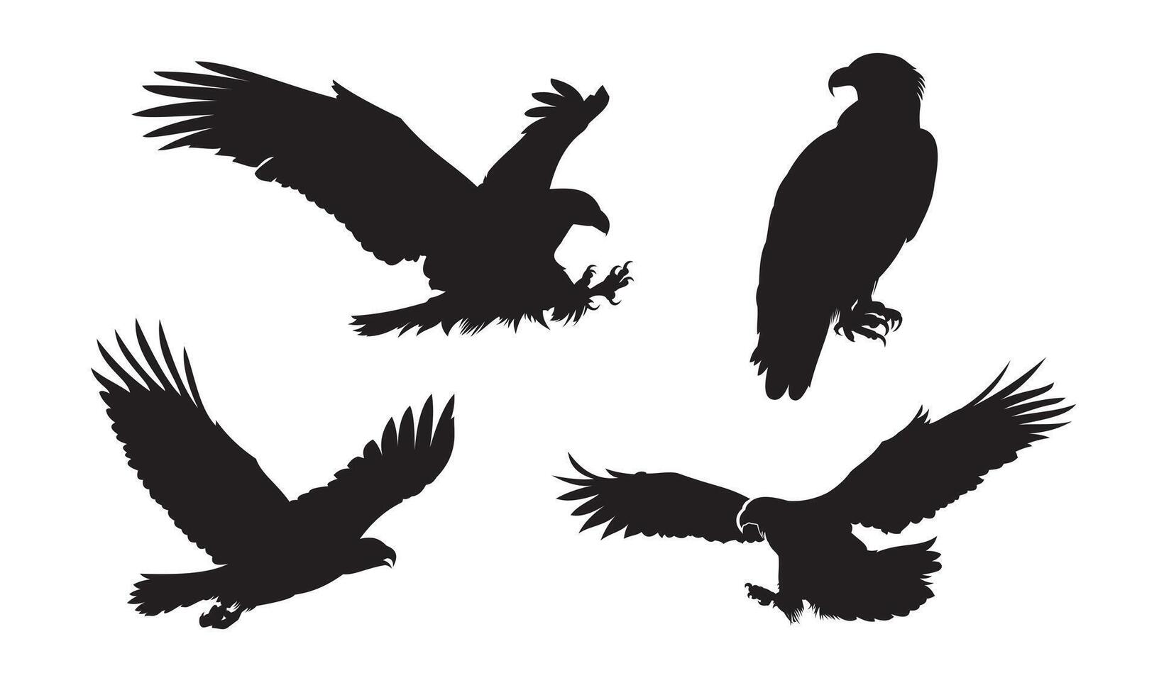 Eagle silhouette illustration. Flying eagle cartoon element. Suitable for bird drawing element. vector
