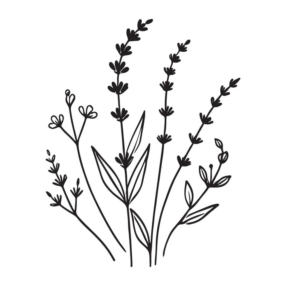 Delicate Wildflower Silhouette Illustration vector
