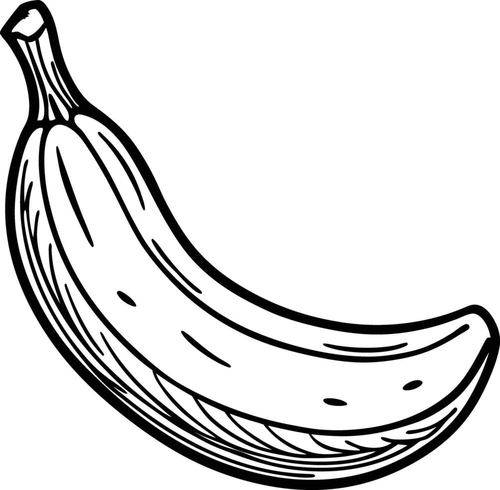 A banana is drawn in black and white vector