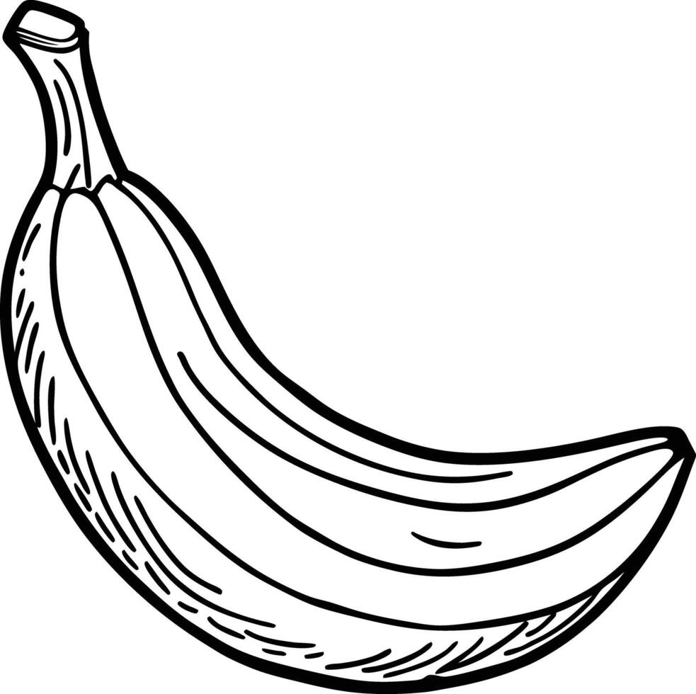 A banana is drawn in black and white vector