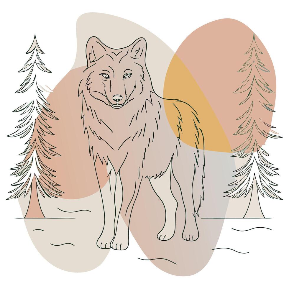A wolf standing in the snow with trees in the background vector