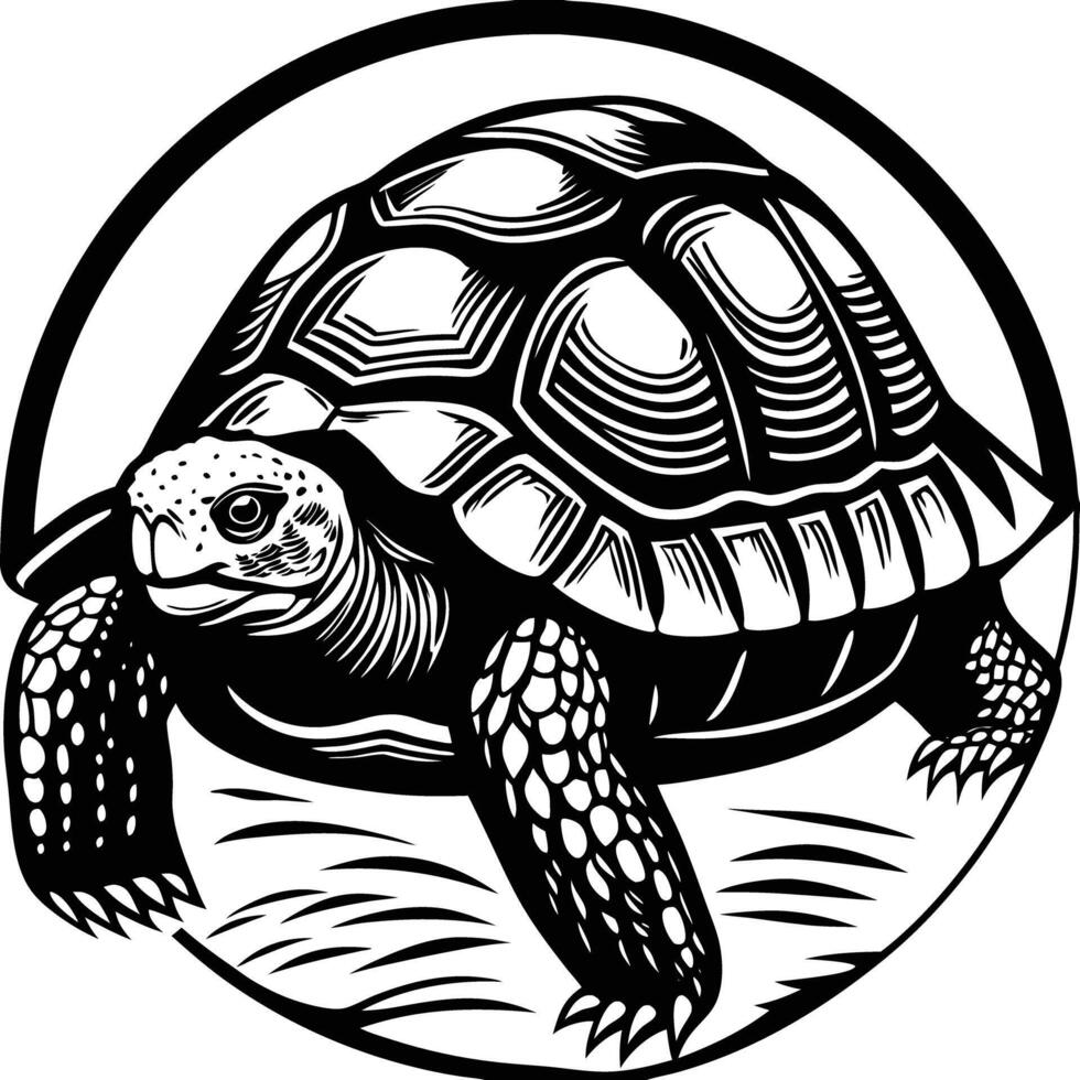 Turtle in a circle vector