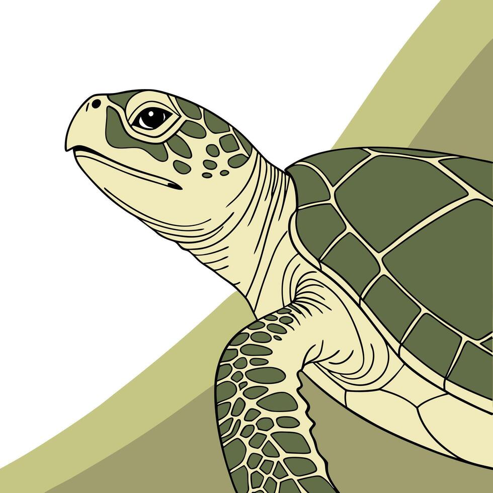 A turtle is standing on the edge of a rock vector