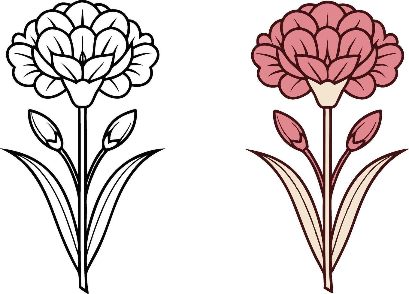 Elegant Carnation Floral Design Outline and Colored Version vector