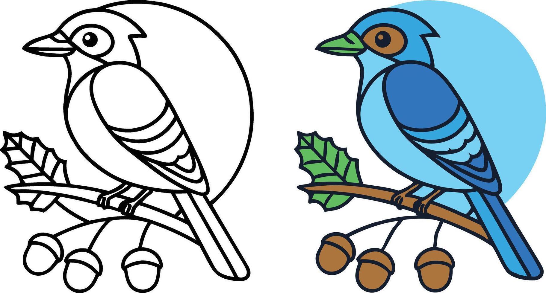 Blue Jay Bird on Branch with Acorns Coloring Page Illustration vector