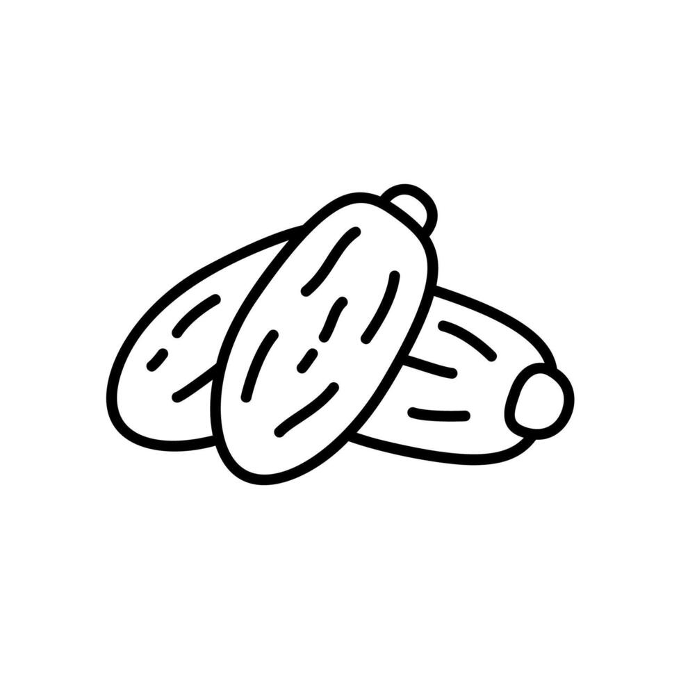 Icon of dates as a healthy food from Arabia vector