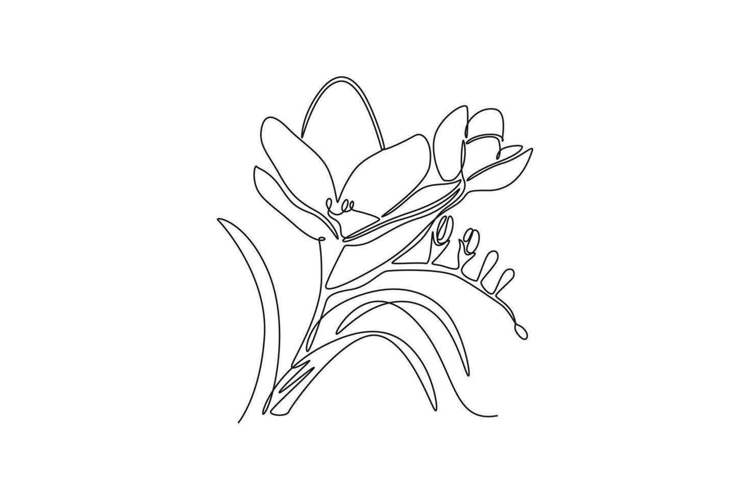 Single continuous line drawing beauty fresh freesia for home wall decor art poster print. Decorative herbaceous flower concept for floral card frame. One line draw graphic design illustration vector