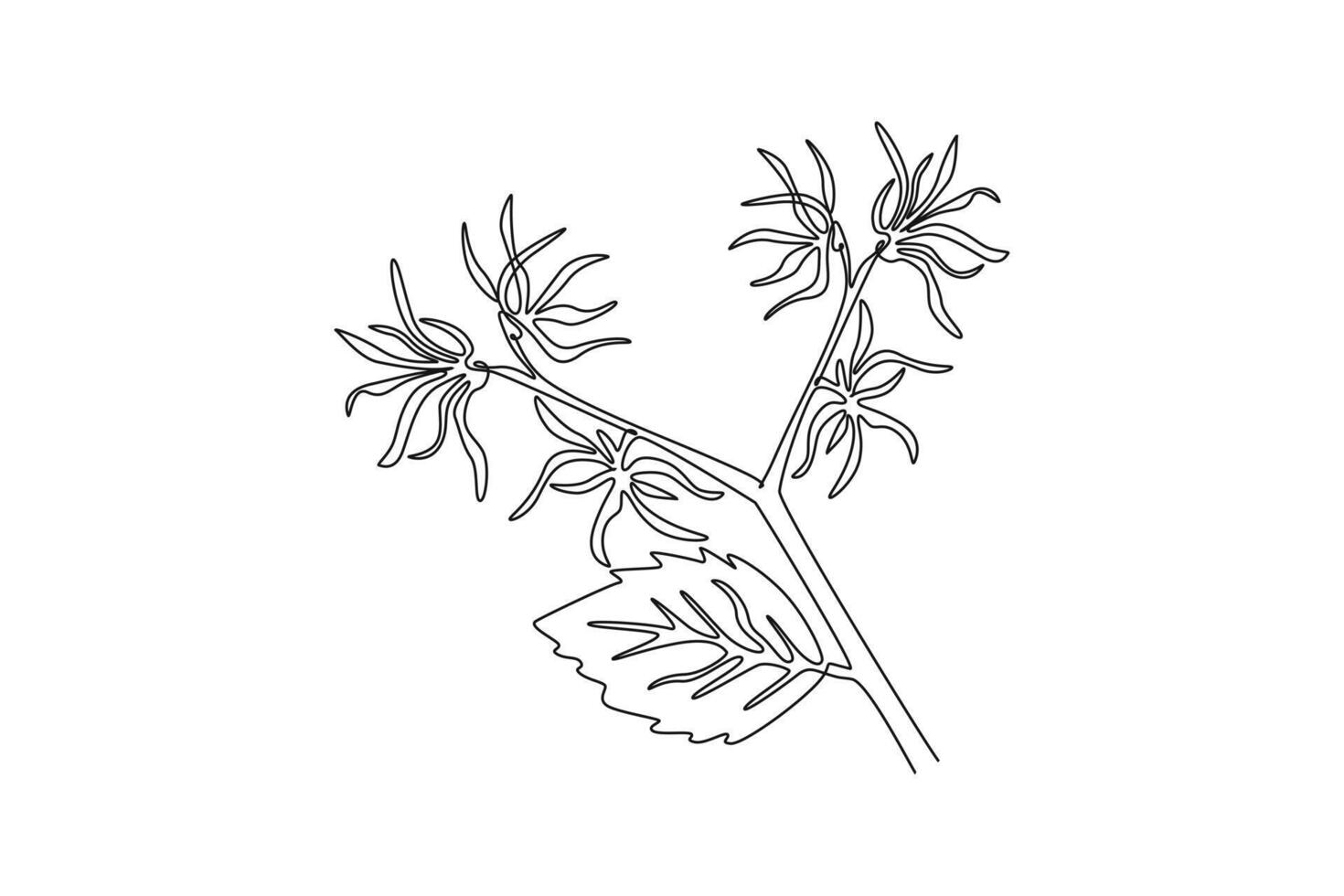 Continuous one line drawing beauty fresh witch hazels for home art wall decor poster print. Decorative deciduous shrubs plant for invitation card. Single line draw design graphic illustration vector