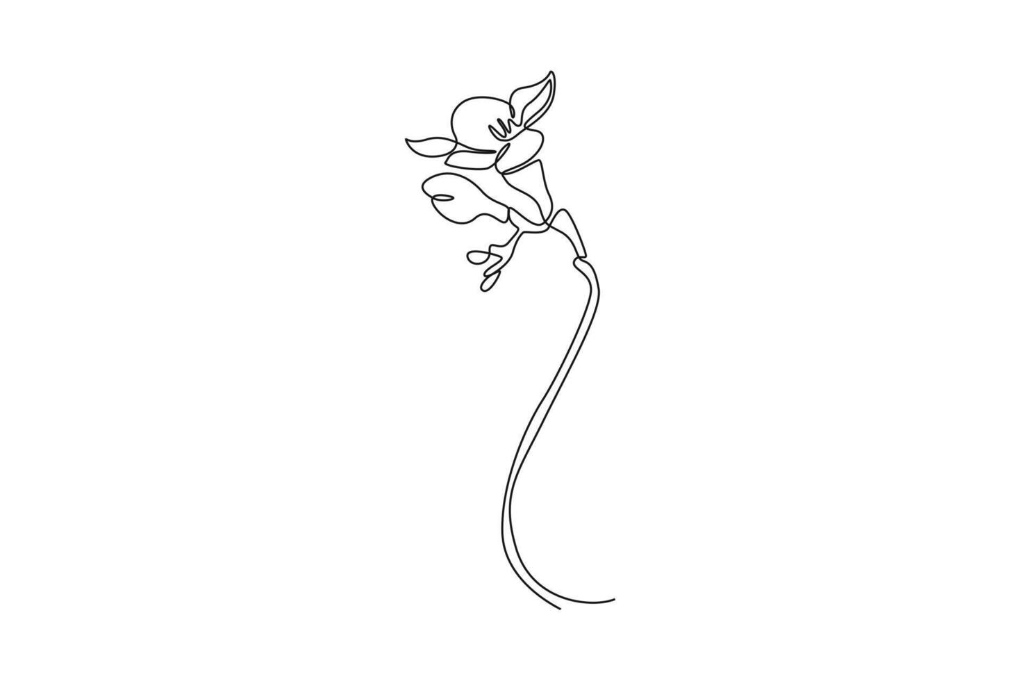 fresh freesia for garden logo. Decorative of herbaceous flower concept for home wall decoration poster print art. One line draw graphic design illustration vector