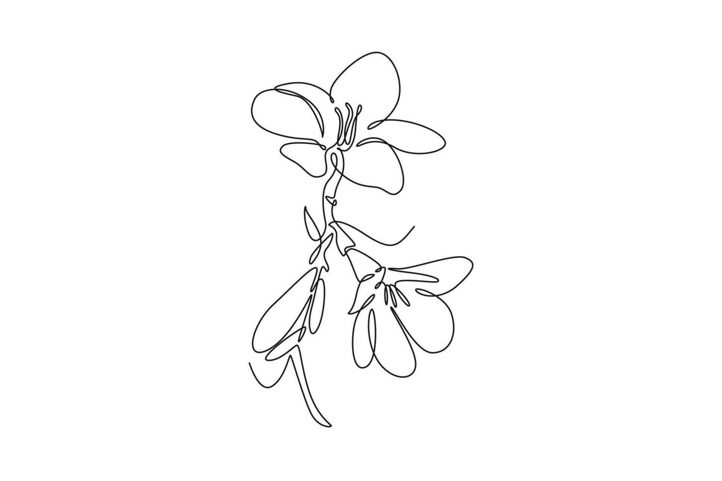 beauty fresh freesia for garden logo. Decorative of herbaceous flower concept for home wall decoration poster print art. One line draw graphic design illustration vector