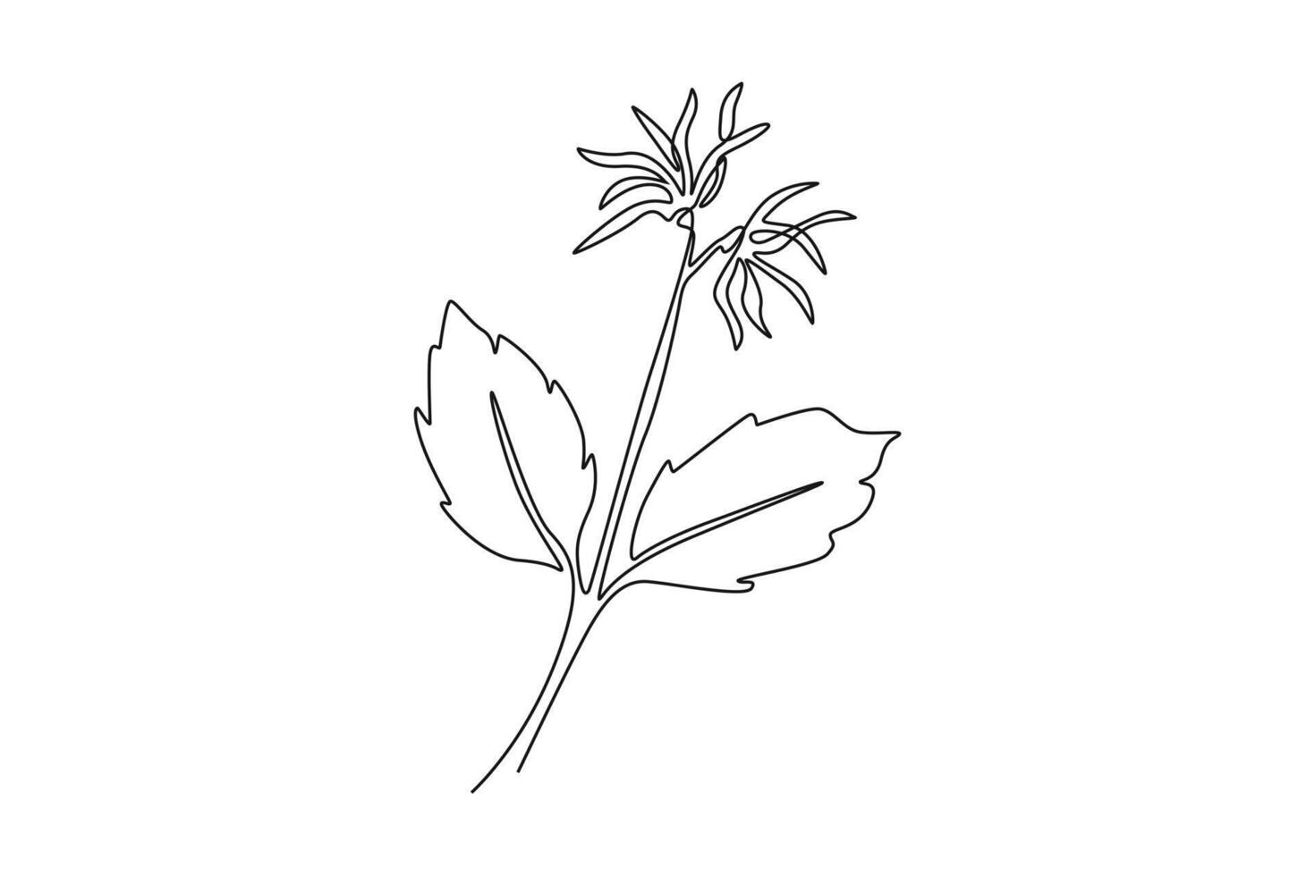 Single one line drawing beauty fresh witch hazels for home art wall decor poster. Decorative deciduous shrubs plant concept for invitation card. Continuous line draw design graphic illustration vector