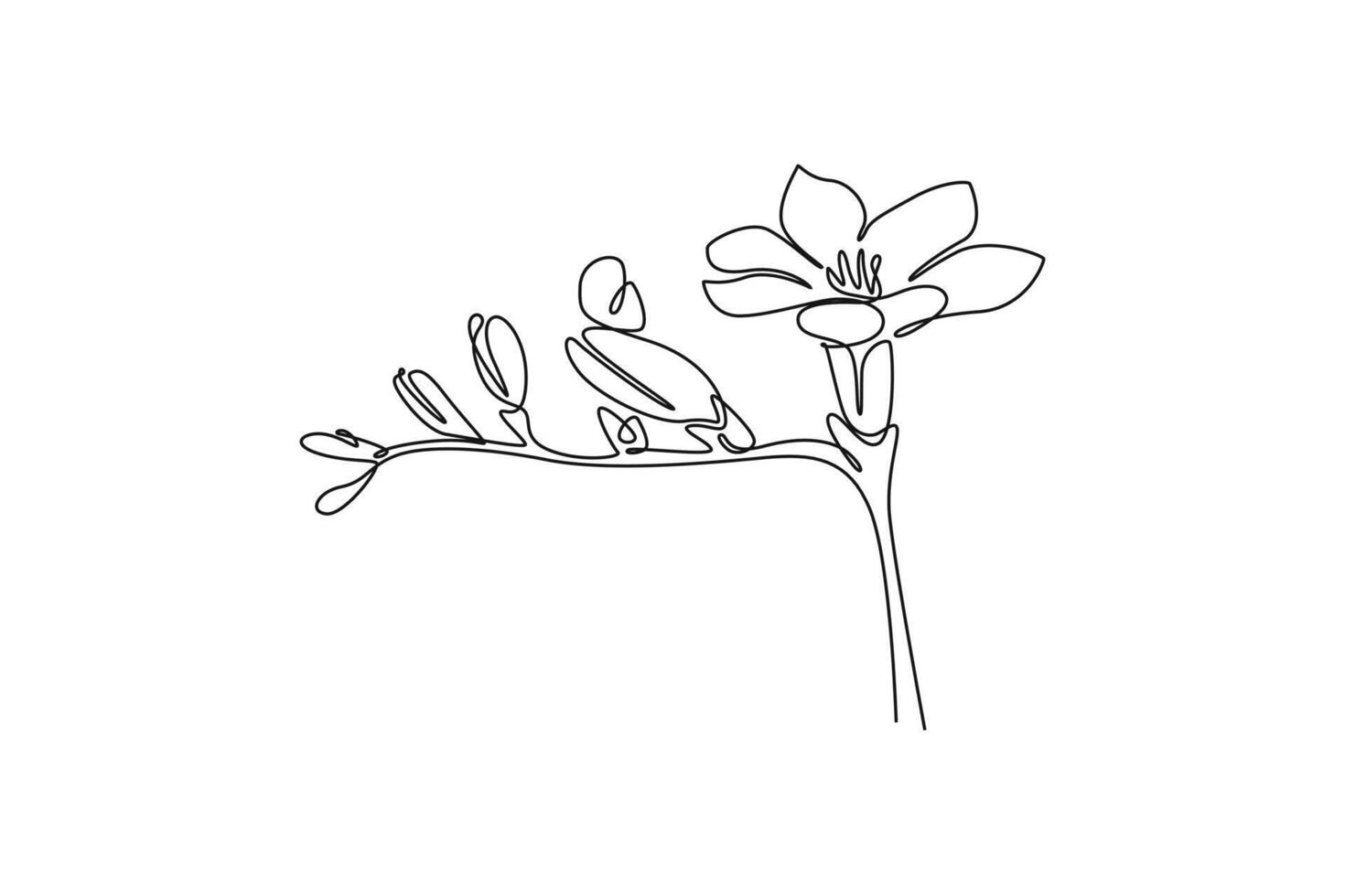 Single one line drawing beauty fresh freesia for home wall decor art poster print. Decorative herbaceous flower concept for floral card frame. Continuous line draw design graphic illustration vector