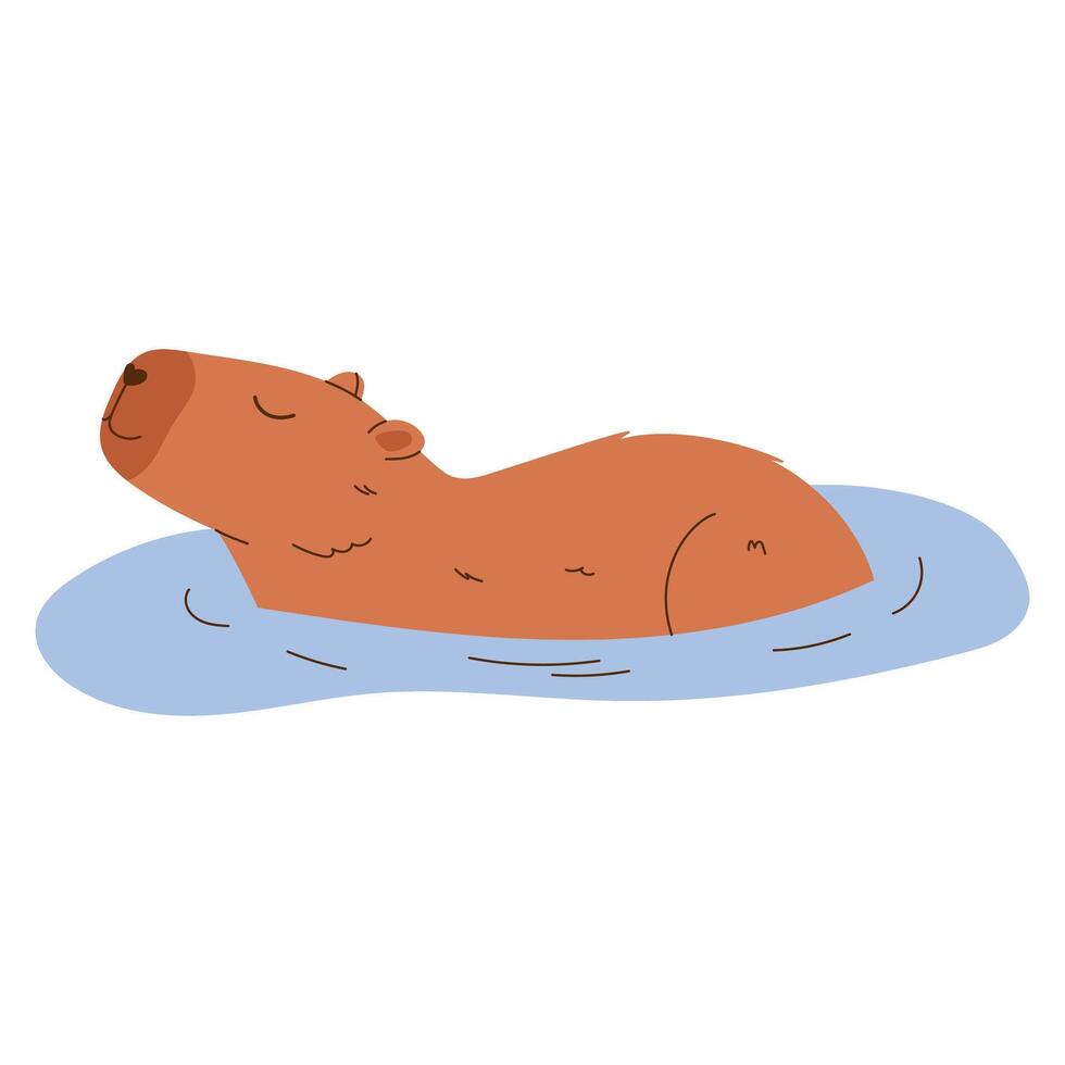 Cute capybara. Exotic rodent swimming in pond. Hand drawn illustration. vector