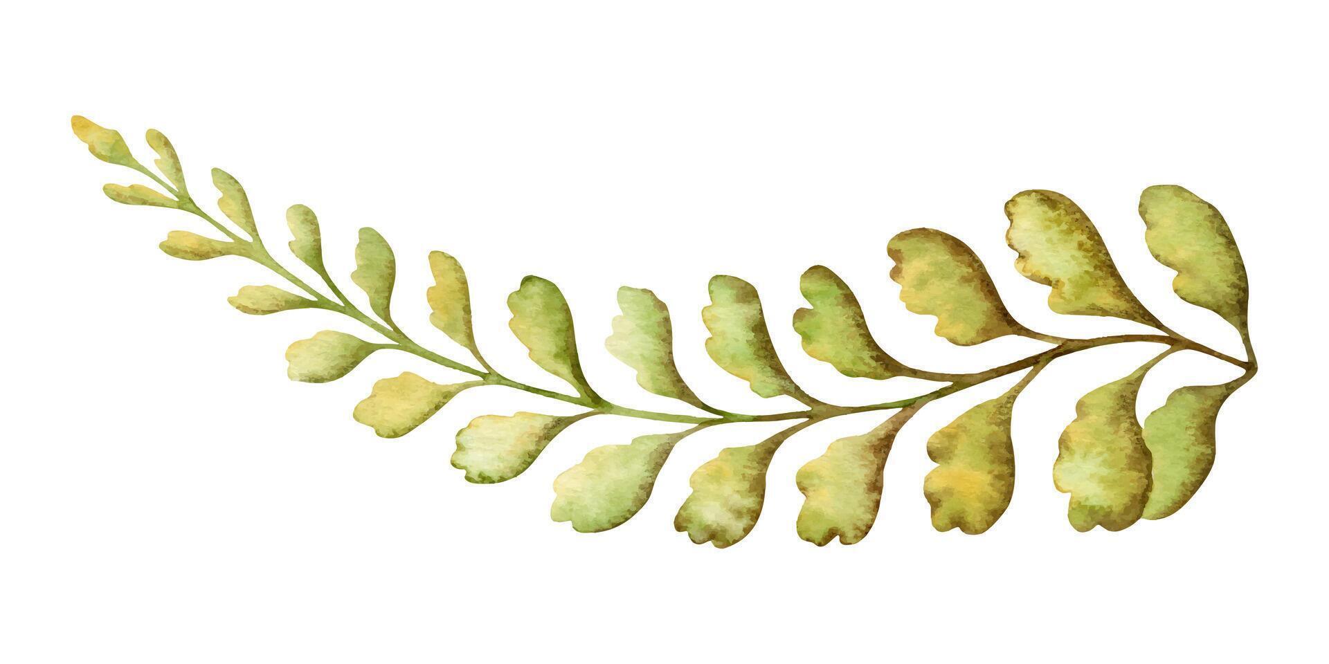 Tropical fern leaf textured botanical illustration in earth tone. Hand drawn watercolor floral element of prehistoric plant. Perfect for the use of ecological material and sustainable designs. vector