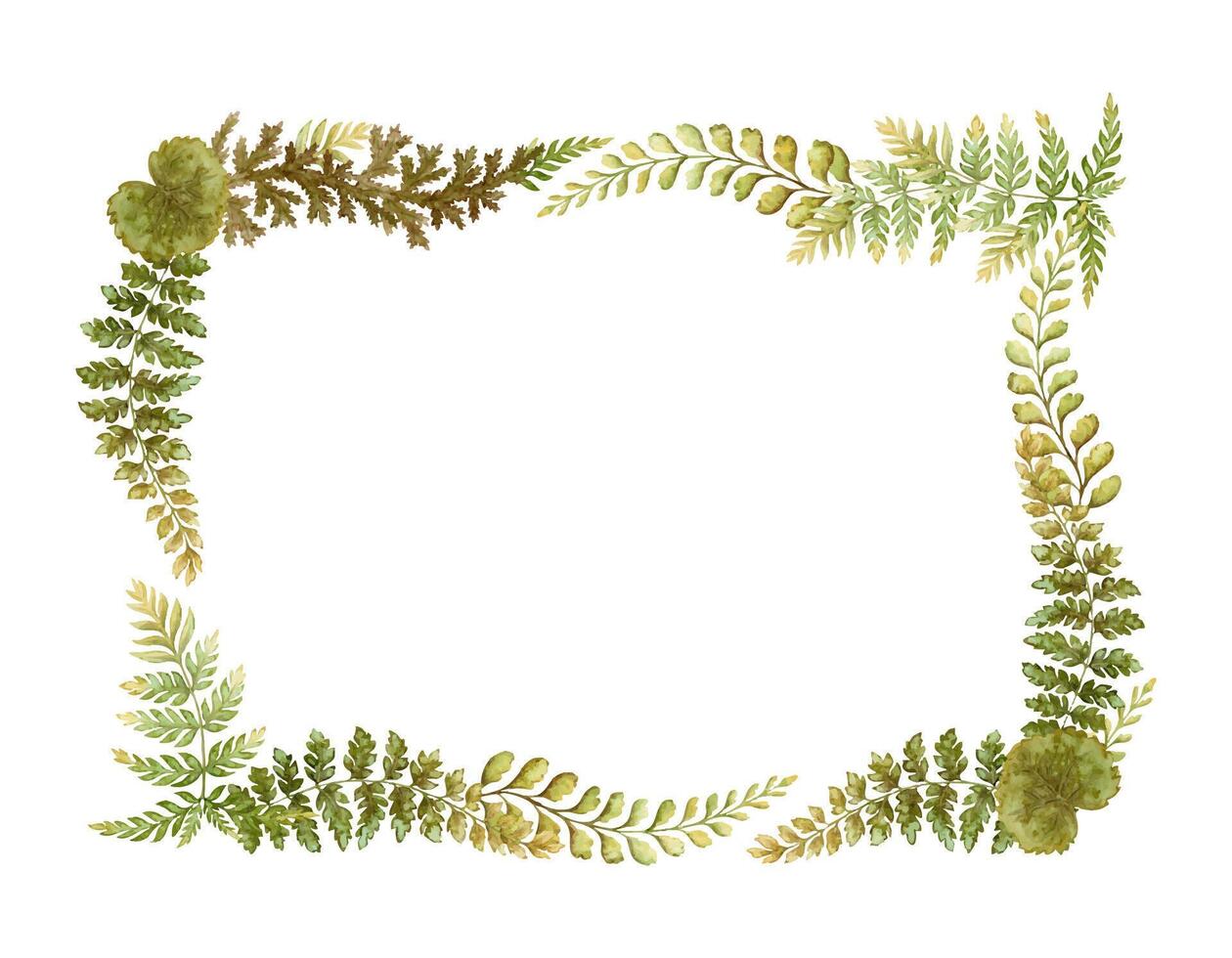 Rectangular wreath with fern leaves botanical card template in earth tone. Hand drawn watercolor horizontal floral frame. Perfect for the use of ecological material and sustainable designs. vector