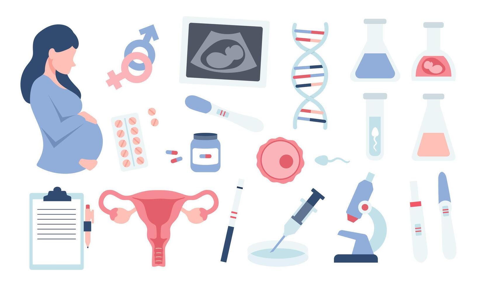 Pregnancy set elements in cartoon flat style. Medical test, sex determination, fertilization. Uterus and sperm. vector