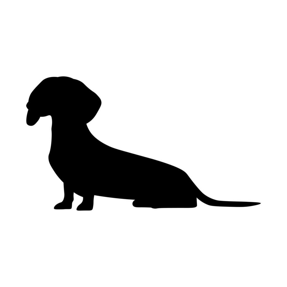 Dog silhouette on white background. Dachshund silhouette vector