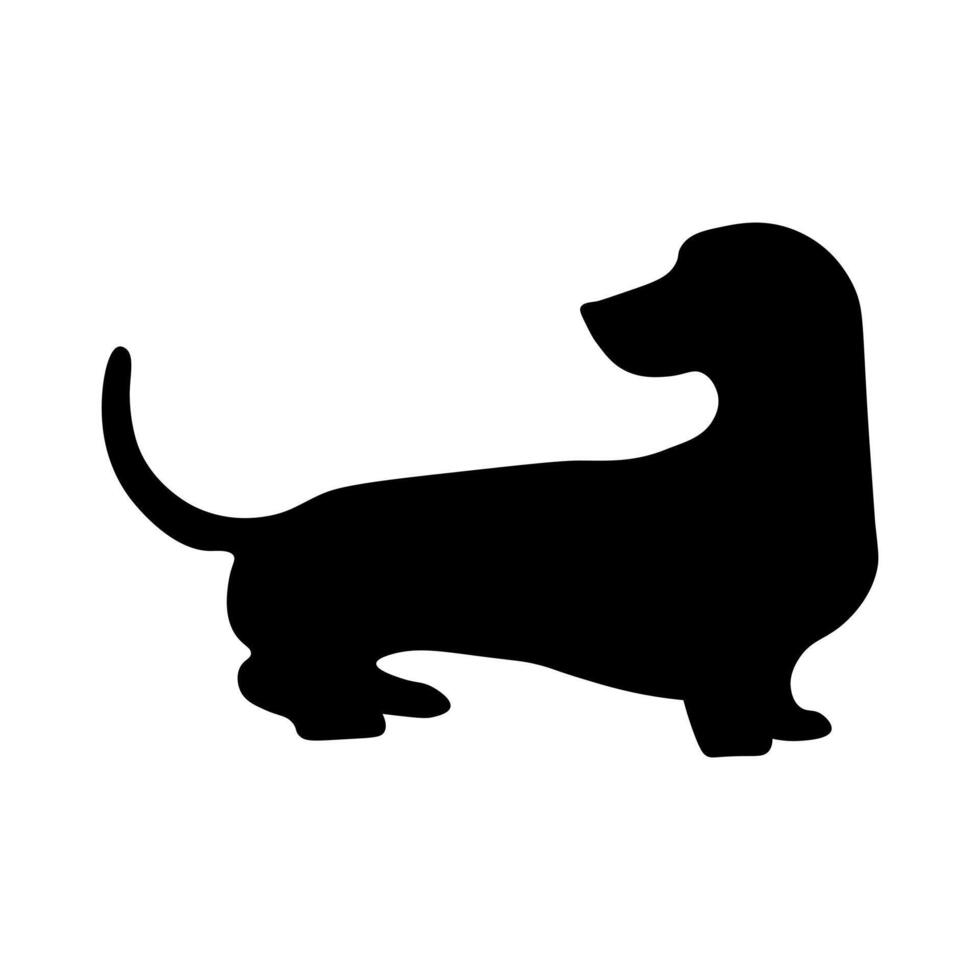 Dachshund silhouette Dog silhouette isolated on white background. Dachshund silhouette vector