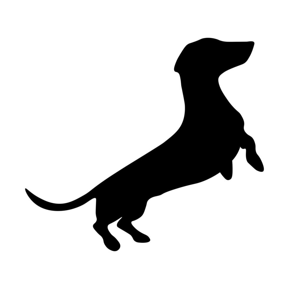 Dog silhouette Dachshund silhouette vector
