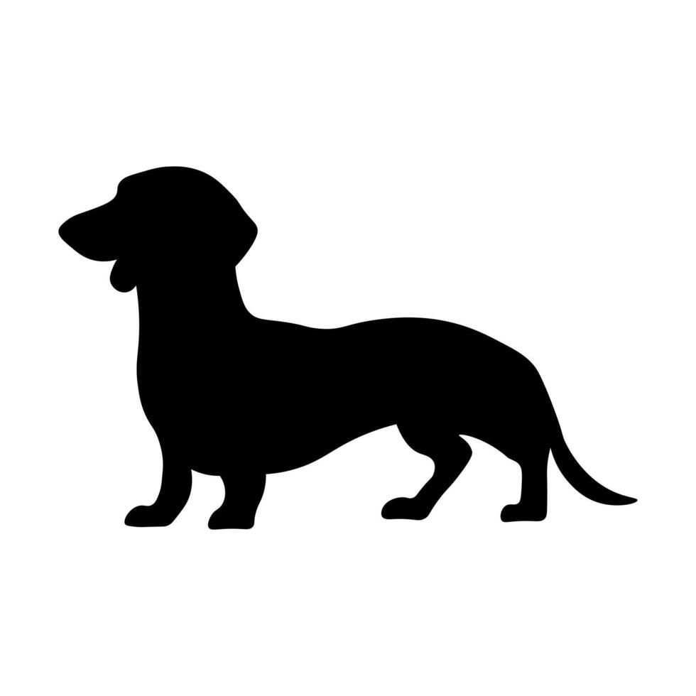 Dog silhouette Dachshund isolated on white background. Dachshund silhouette vector