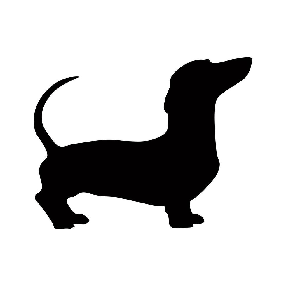 Dog silhouette.. Dachshund silhouette vector