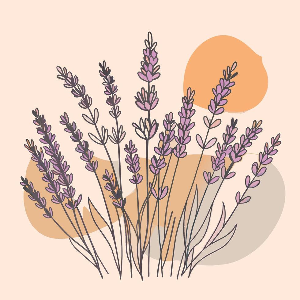 Delicate lavender flowers with soft purple hues and abstract background vector