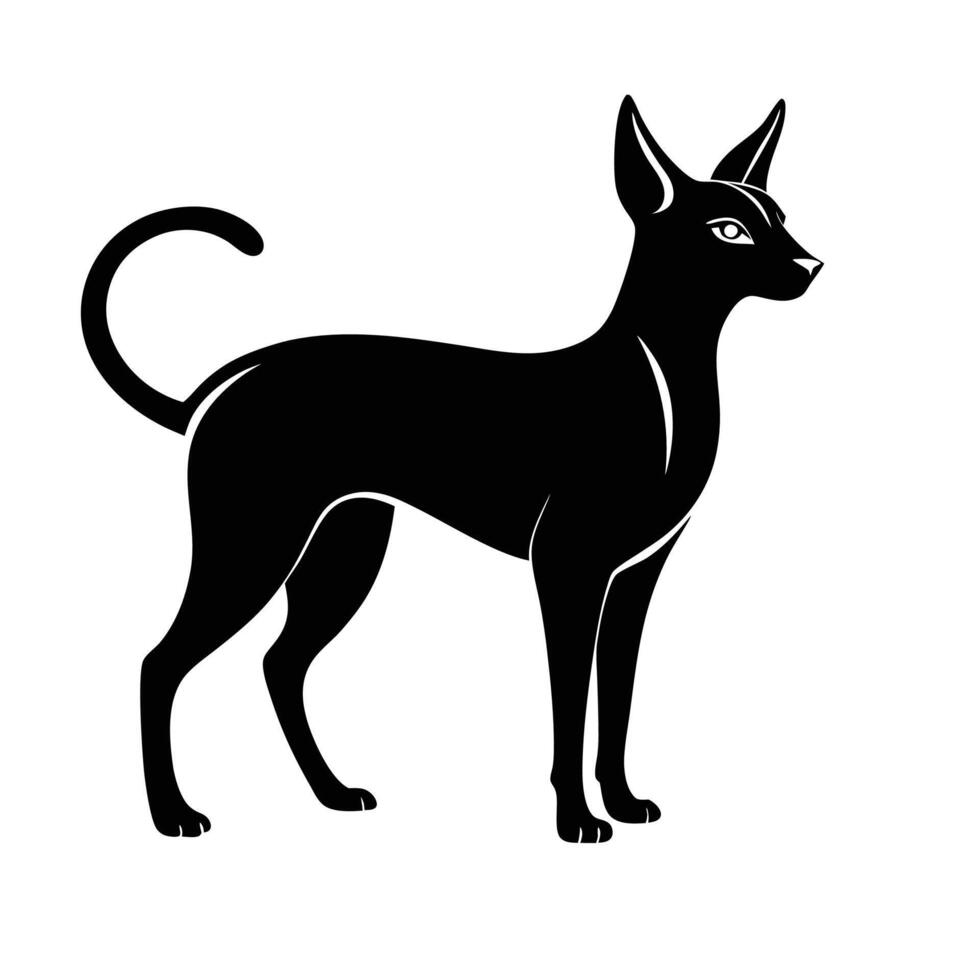 Abyssinian Dog silhouette vector