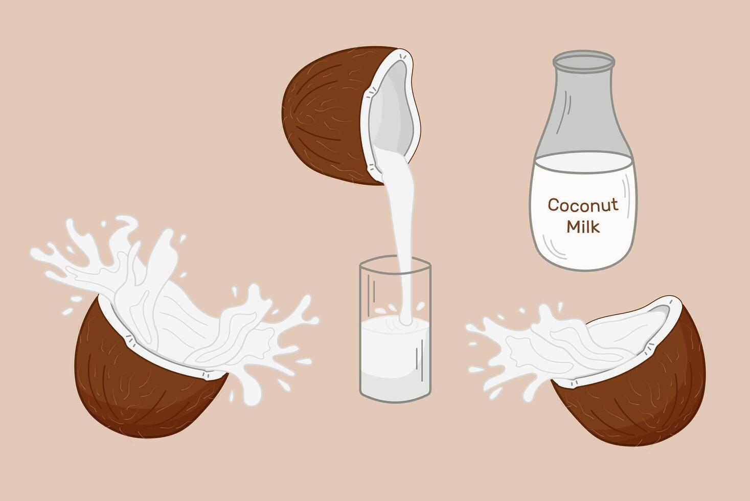 Coconut milk preparation illustrating fresh coconuts splitting open and pouring their creamy contents into glass and bottle of milk. Isolated illustration. vector